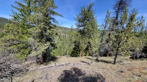 1315 NE Lofton Creek Road Prineville OR 97754