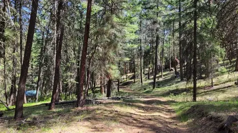 1315 NE Lofton Creek Road Prineville OR 97754