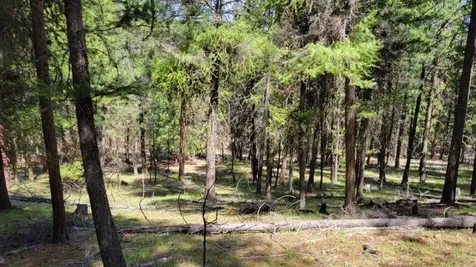 1315 NE Lofton Creek Road Prineville OR 97754