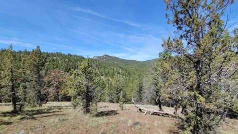 1315 NE Lofton Creek Road Prineville OR 97754