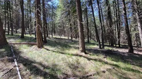 1315 NE Lofton Creek Road Prineville OR 97754