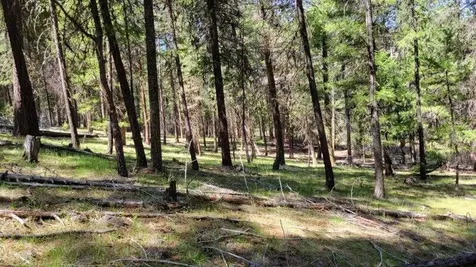 1315 NE Lofton Creek Road Prineville OR 97754