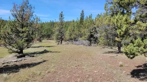 1315 NE Lofton Creek Road Prineville OR 97754