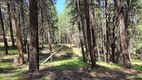 1315 NE Lofton Creek Road Prineville OR 97754