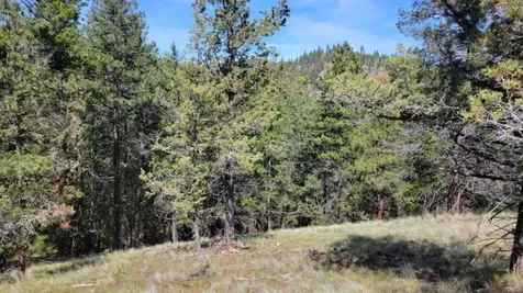 1315 NE Lofton Creek Road Prineville OR 97754