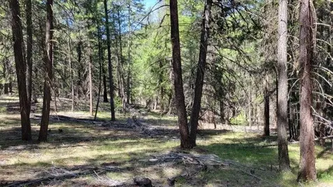 1315 NE Lofton Creek Road Prineville OR 97754