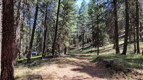 1315 NE Lofton Creek Road Prineville OR 97754