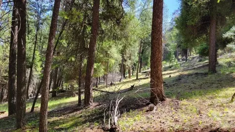 1315 NE Lofton Creek Road Prineville OR 97754