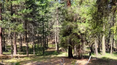 1315 NE Lofton Creek Road Prineville OR 97754