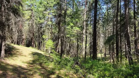 1315 NE Lofton Creek Road Prineville OR 97754