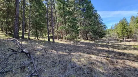 1315 NE Lofton Creek Road Prineville OR 97754