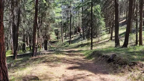 1315 NE Lofton Creek Road Prineville OR 97754