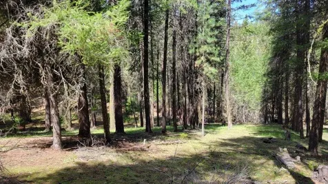 1315 NE Lofton Creek Road Prineville OR 97754