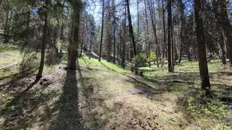 1315 NE Lofton Creek Road Prineville OR 97754