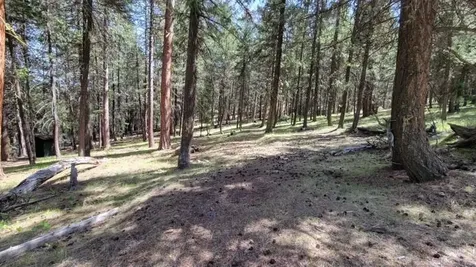 1315 NE Lofton Creek Road Prineville OR 97754