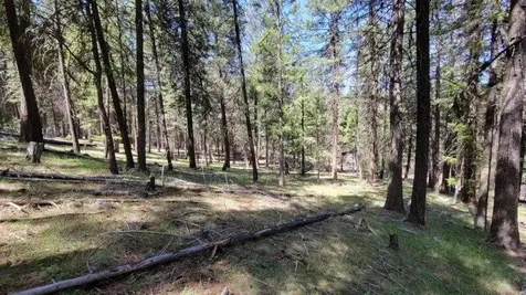 1315 NE Lofton Creek Road Prineville OR 97754
