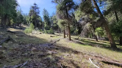 1315 NE Lofton Creek Road Prineville OR 97754