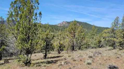 1315 NE Lofton Creek Road Prineville OR 97754