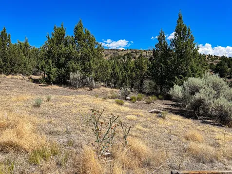 219 Valley View Drive John Day OR 97845