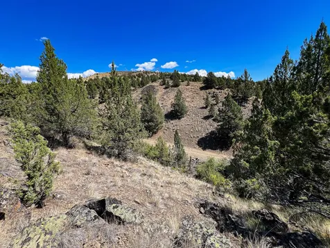 219 Valley View Drive John Day OR 97845