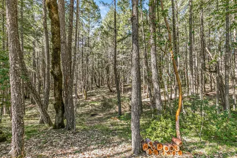 707 Mcmullen Creek Road Selma OR 97538