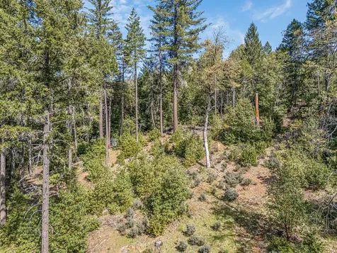 707 Mcmullen Creek Road Selma OR 97538