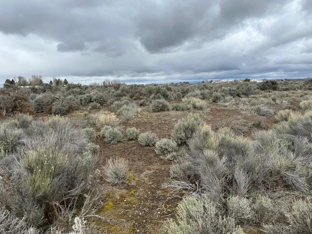 0 No Name APN;2831 Road Christmas Valley OR 97641