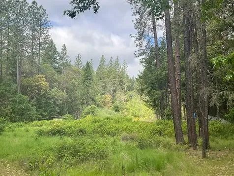 4196 E Evans Creek Road Rogue River OR 97537