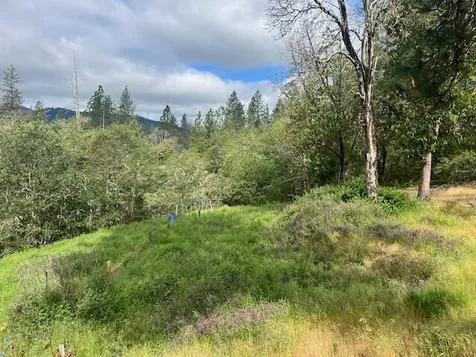 4196 E Evans Creek Road Rogue River OR 97537
