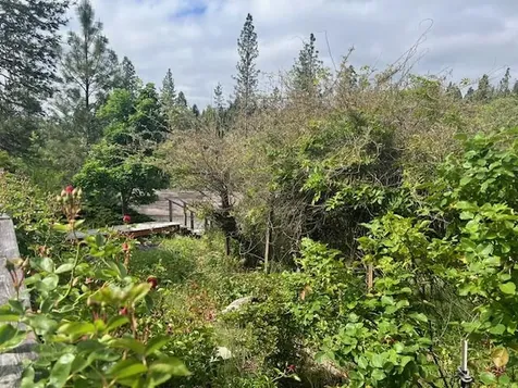 4196 E Evans Creek Road Rogue River OR 97537