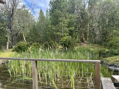 4196 E Evans Creek Road Rogue River OR 97537