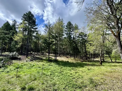 380 Dexter Way Grants Pass OR 97527