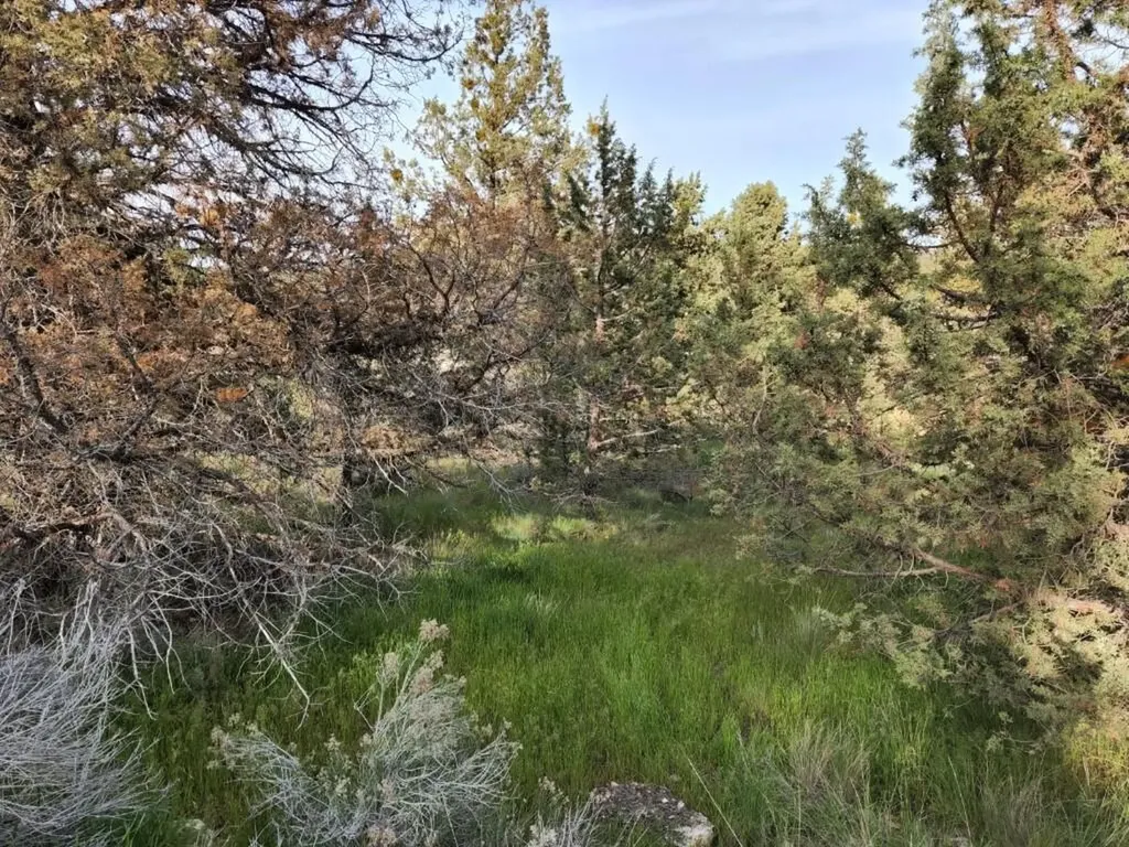NW Jordan Avenue Prineville OR 97754