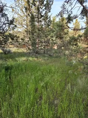 NW Jordan Avenue Prineville OR 97754