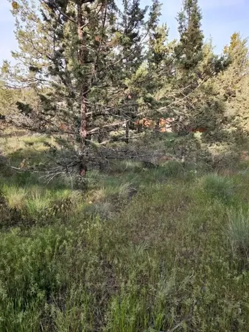 NW Jordan Avenue Prineville OR 97754