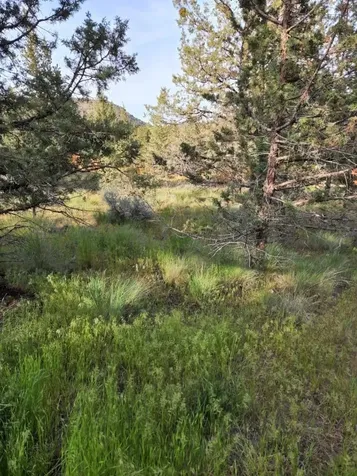 NW Jordan Avenue Prineville OR 97754