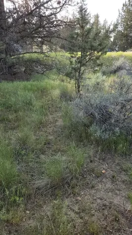 NW Jordan Avenue Prineville OR 97754