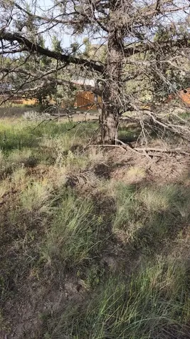 NW Jordan Avenue Prineville OR 97754