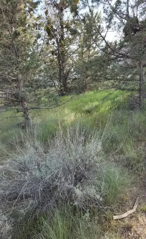 NW Jordan Avenue Prineville OR 97754