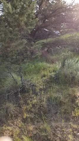 NW Jordan Avenue Prineville OR 97754
