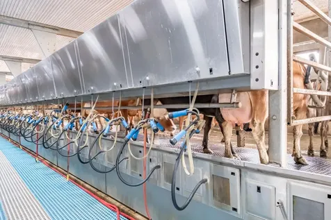 35725 Engle Road SE Albany OR 97322