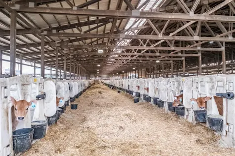 35725 Engle Road SE Albany OR 97322