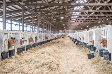 35725 Engle Road SE Albany OR 97322