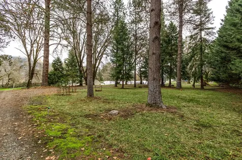 3311 Rogue River Highway Gold Hill OR 97525