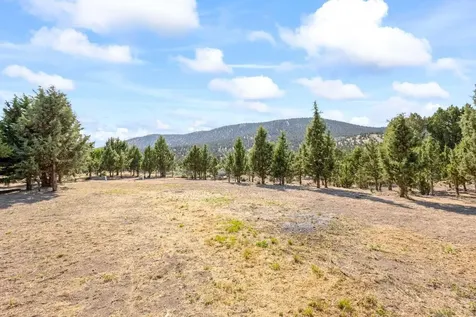 16335 SE Antelope Creek Drive Prineville OR 97754