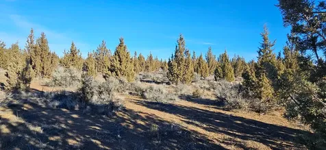 S Bend Way Prineville OR 97754