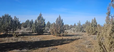 S Bend Way Prineville OR 97754