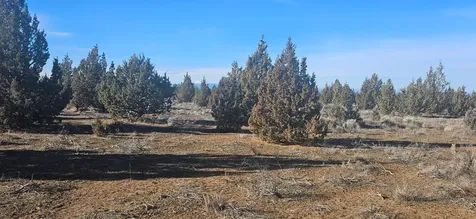 S Bend Way Prineville OR 97754