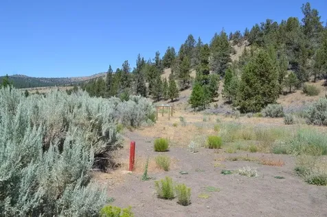 NW Irvine Avenue Prineville OR 97754