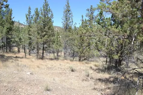 NW Irvine Avenue Prineville OR 97754